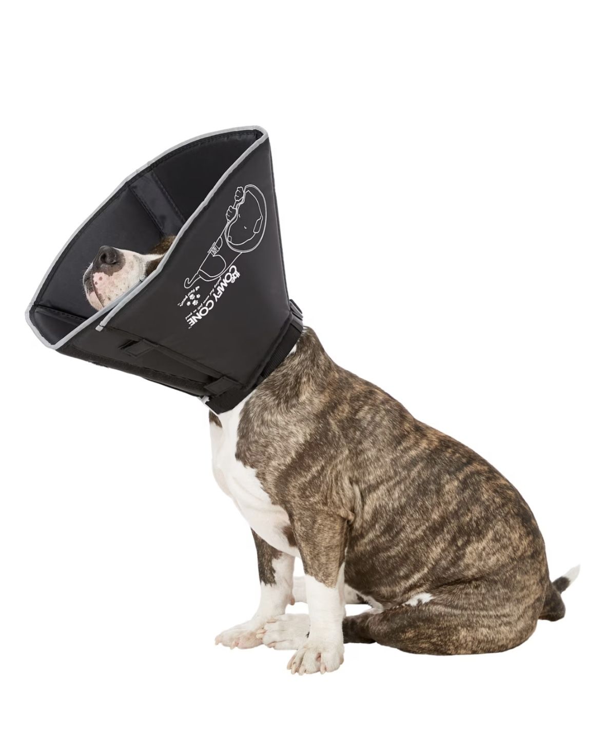 Comfy Cone E For Dogs Size Large 