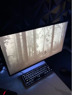ASUS 280hz 24in GAMING MONITOR