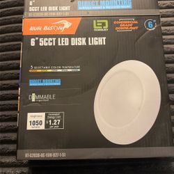 LED Disk Light 
