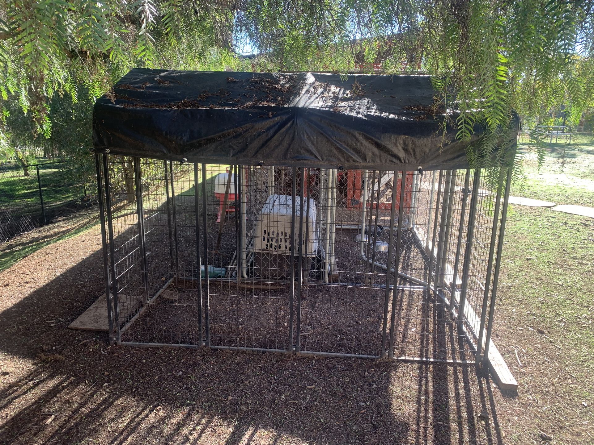 Dog Kennel