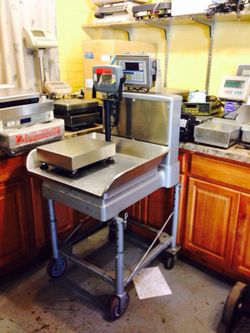 Stainless steel scale