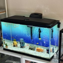  Aquarium 29 Gallons, Includes LED Lighting, Filtration, Heater, Fish Food, Tap Water Conditioners, And Cleaning Supply 
