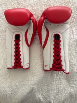 Evander Holyfield signed boxing gloves