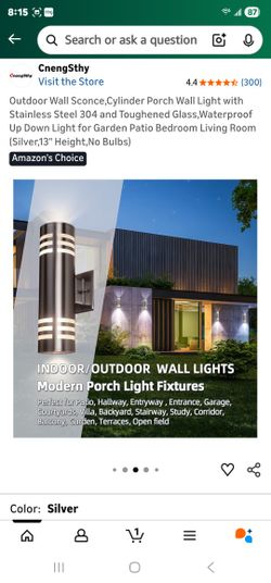 Wall Scone Light  (silver)