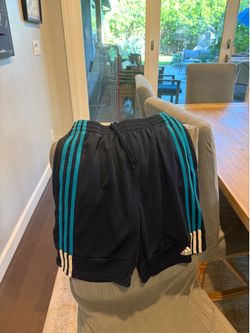 Big bag of boys clothes (13 year old size)