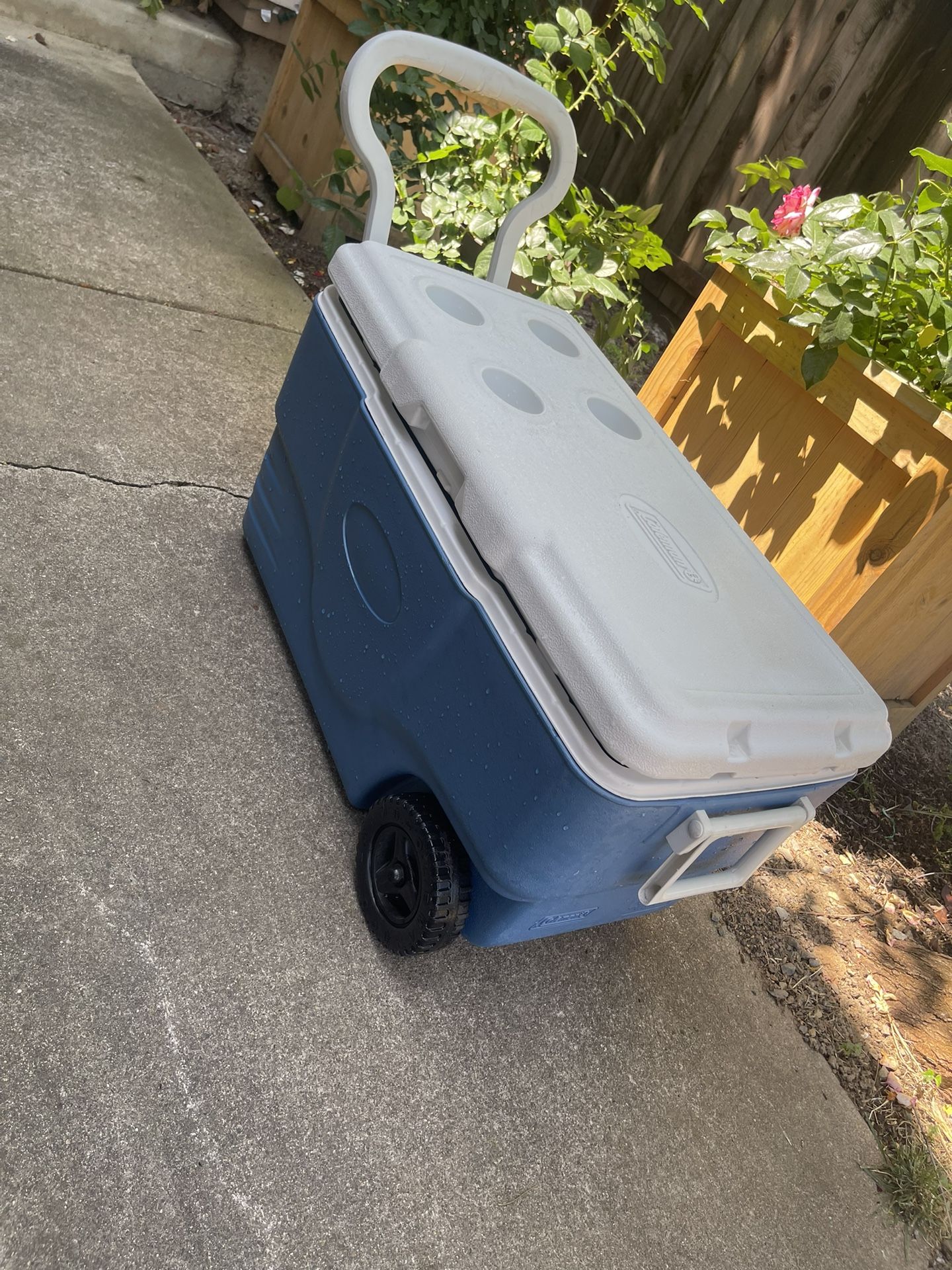 Coleman Extreme 62qt Cooler 