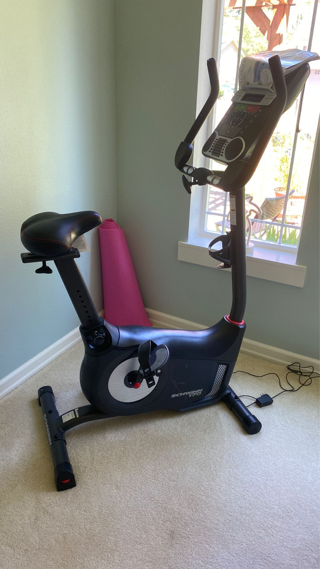 Schwinn 170 stationary bike