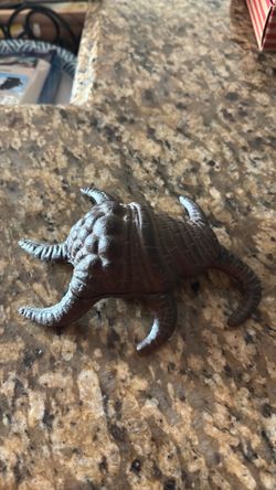 New Mollusk Shell Hide-A-Key