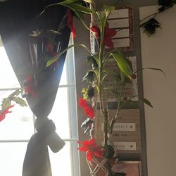 Wall Decor, Lights, Plant Pot And Real Bamboo Plant