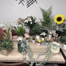 Faux Plants