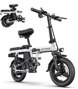 Bicicleta Electrica
