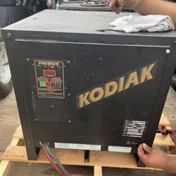 36 Volt Charger 