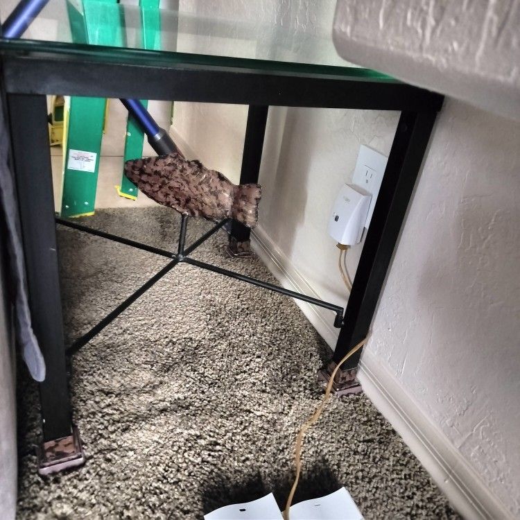 End Table Glass $15