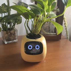 Smart flowerpot, Smart pet Planter, Intelligent Planter, 7 Smart Sensors  for Sale in Rancho Cucamonga, CA - OfferUp