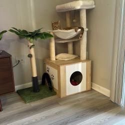 Cat Trees With Storage / Both 