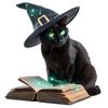 The Original Book Kitty