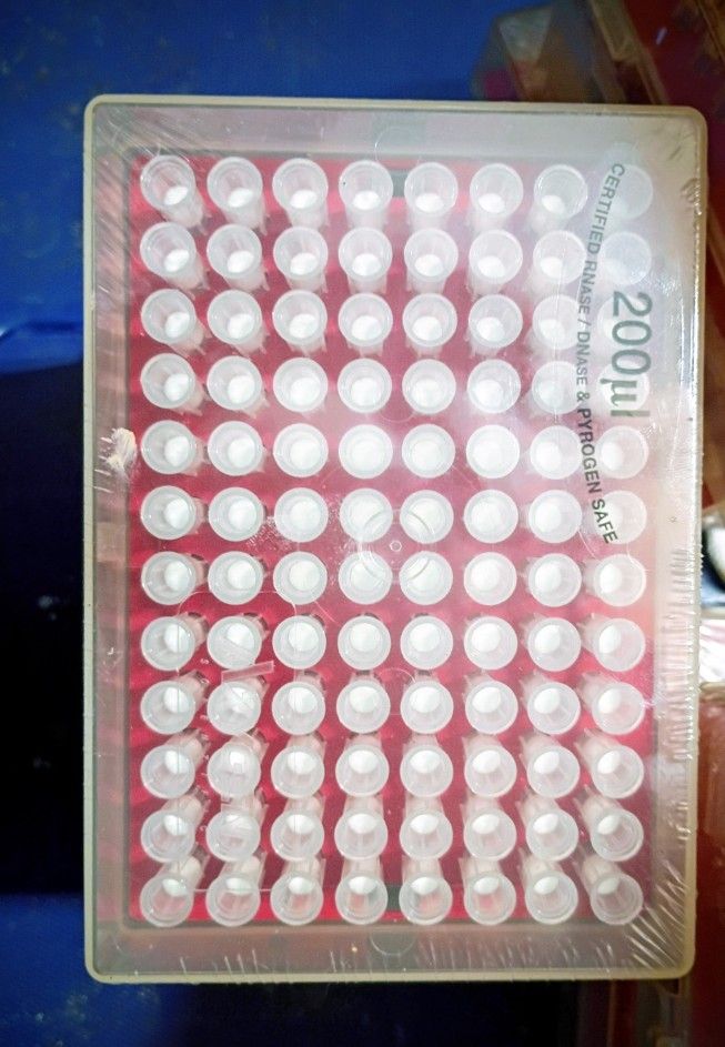 200μl filter pipette tips used in laboratory settings for precise liquid handling.