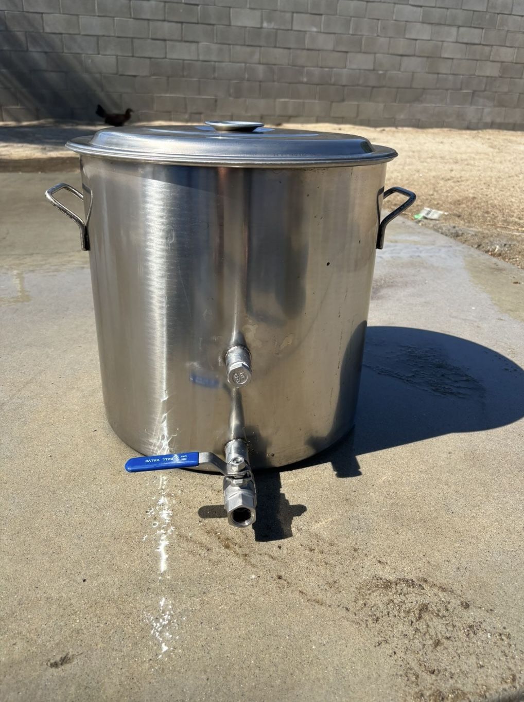 Stainless Steel Brew Kettle