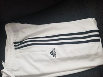 Adidas Pants