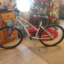 A Schwinn Ranger For Girls Or Boys