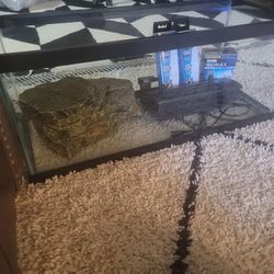 Fish/turtle  Tank 20gal