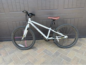 Cleary Owl 20”