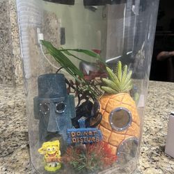 Koller Crafts fish tank(Sponge Bob)