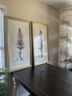 Botanical Art 