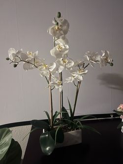 White orchid (plastic)