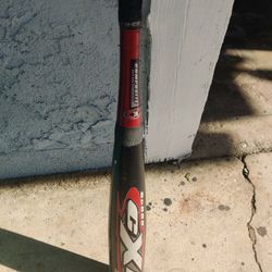 Easton Can Baseball Bat 32/29
