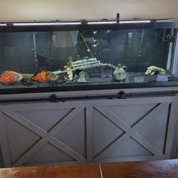 125 Gallon Tank And Custom Built Stand
