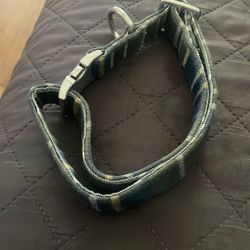 Dog Collar 