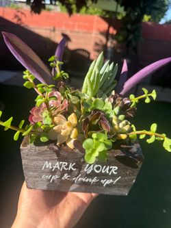Beautiful Arrangement