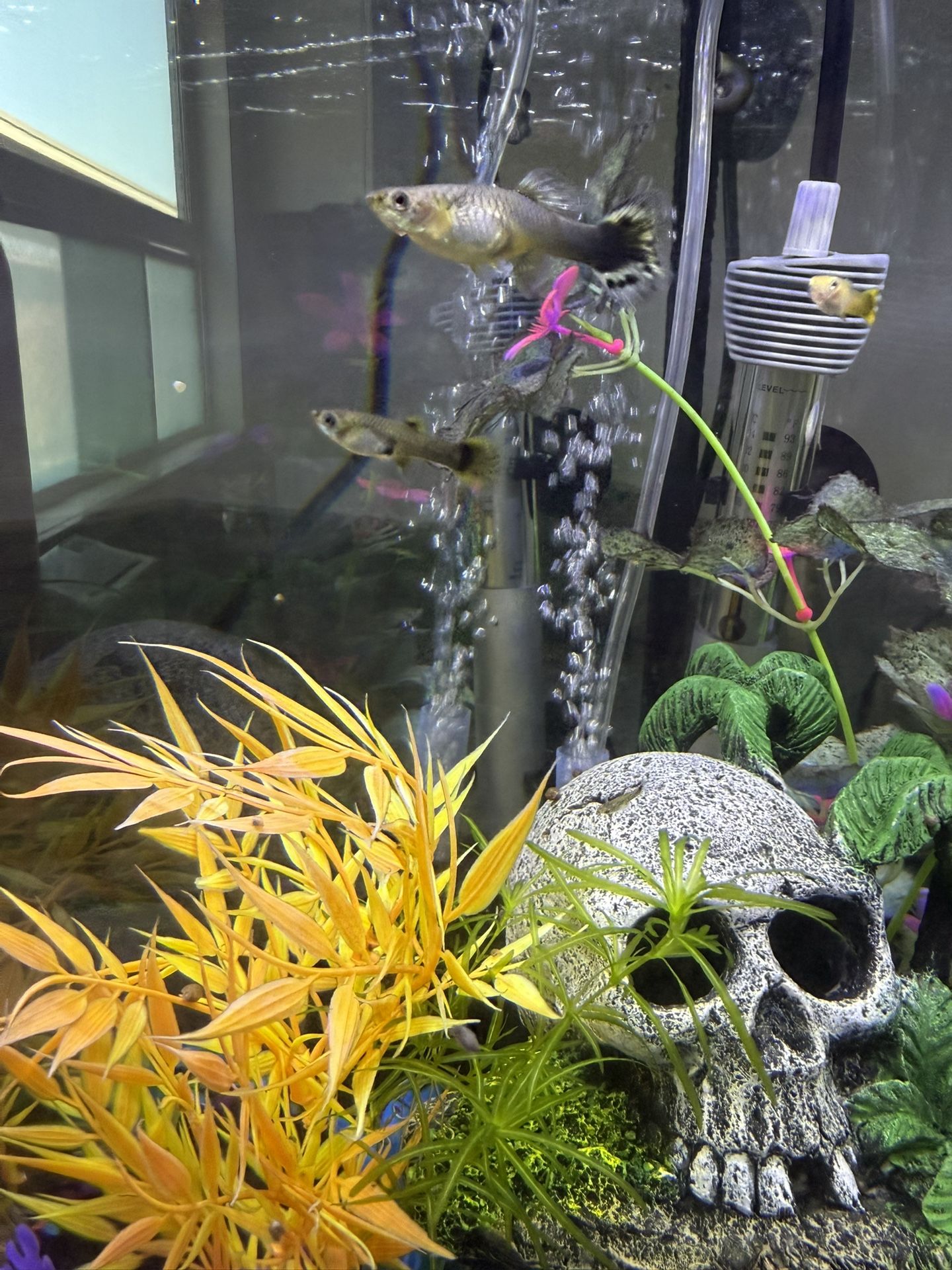 Fish Tank Aquarium Decor Toy