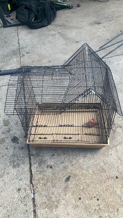 Bird house