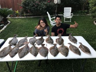 Flounder gigging light & gig sets!!