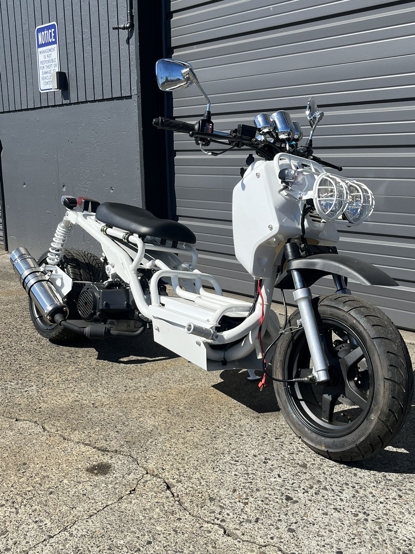 Brand New Stretch Renal Custom ( Like Honda Ruckus)
