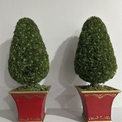 Decorative shelf topiaries