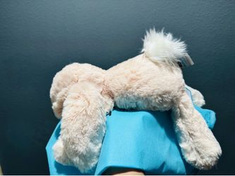 Jellycat