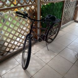 Bike 26