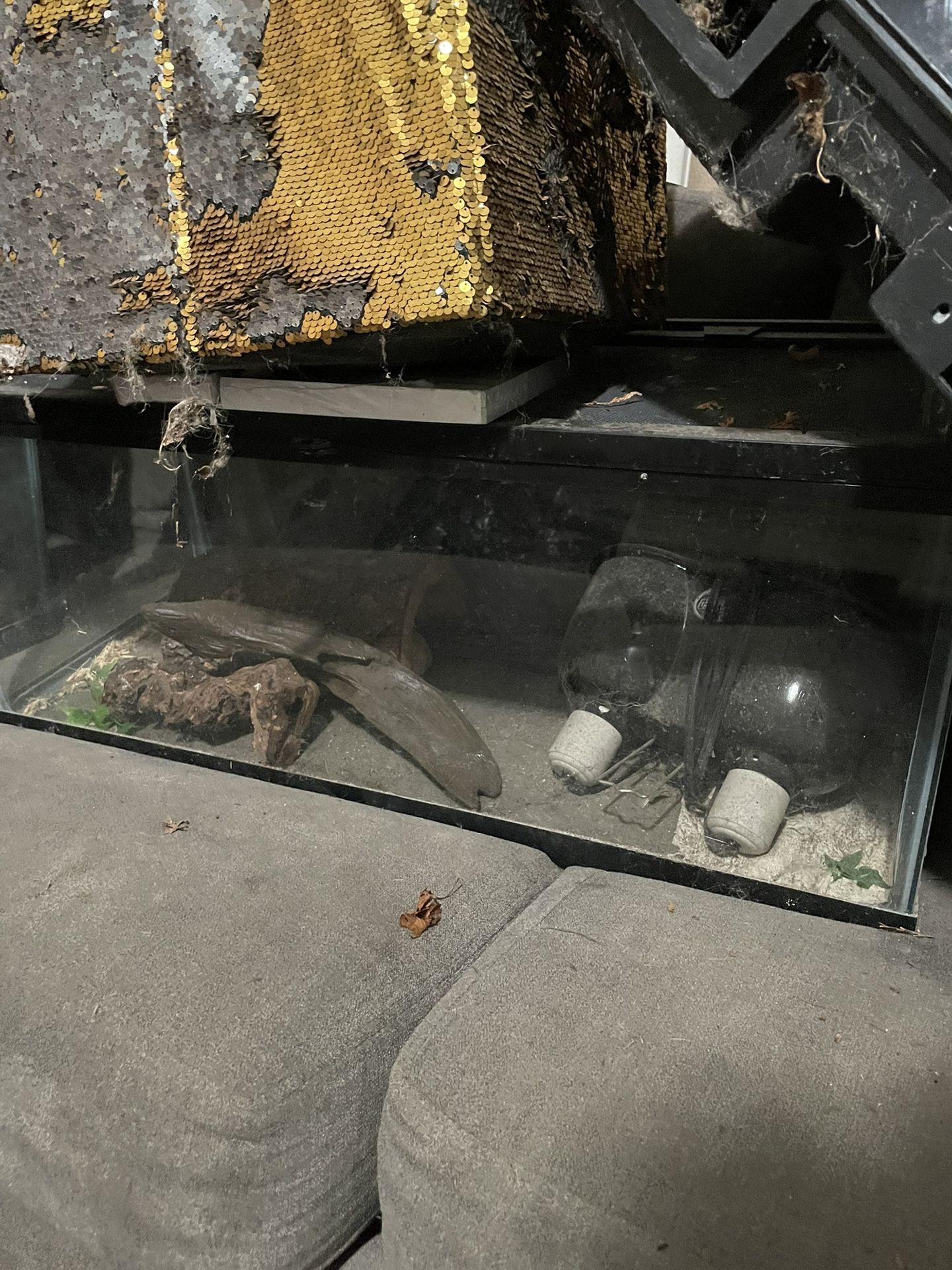 Snake Enclosure