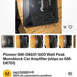 Pioneer