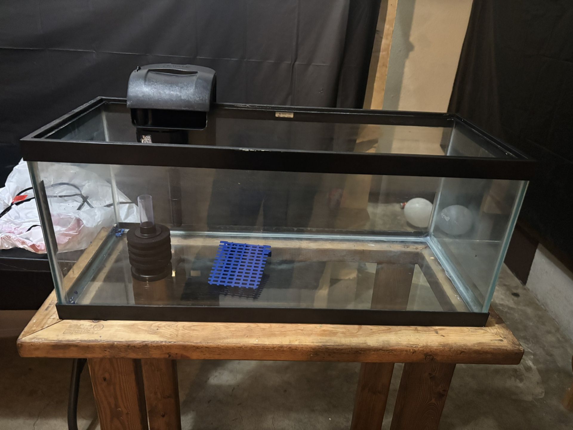 20 Gallon Long Fish Tank