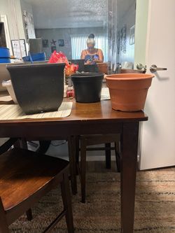 5plastic and 1 terracotta planter