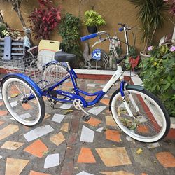 Tricycle 5-Speed