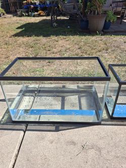 Fish tank
