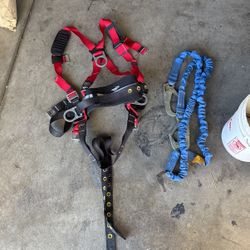 Protecta Safety Harness
