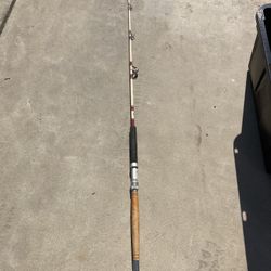 Fishing Rod Penn Special Senator