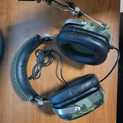 Headphones/headset