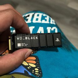WD_black 1 Tb